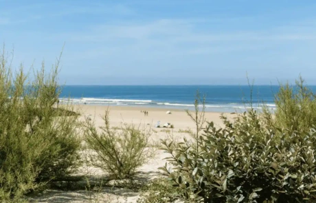 road-trip-pays-basque-Mimizan