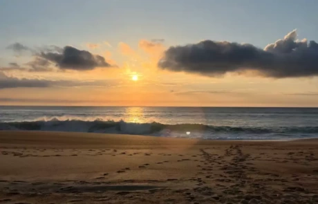 road-trip-pays-basque-Hossegor